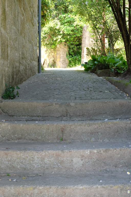 Alvores Do Tempo - Quinta De Turismo Rural Guest House Castro Daire Exterior photo