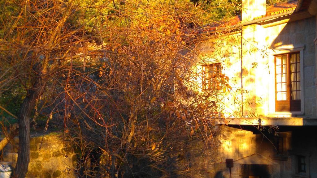 Alvores Do Tempo - Quinta De Turismo Rural Guest House Castro Daire Exterior photo